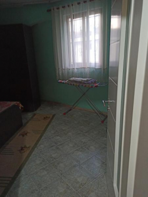 Tirana rent house